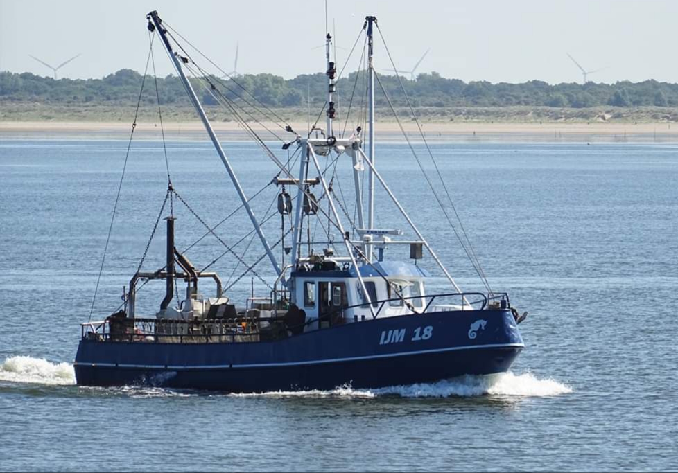 For sale, small Stern – Twinrig trawler IJM-18