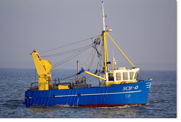 2024: SCH-43 Sold from Scheveningen to King's Lynn