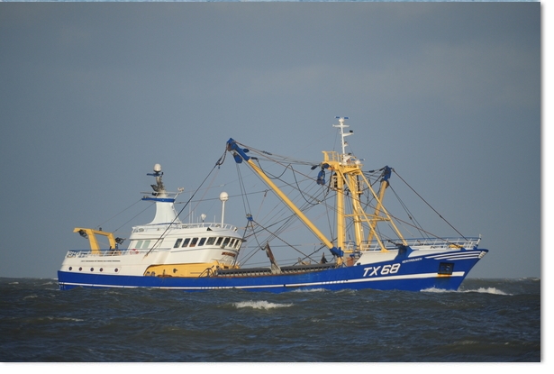 2024: TX-68 sold offshore IJmuidenn