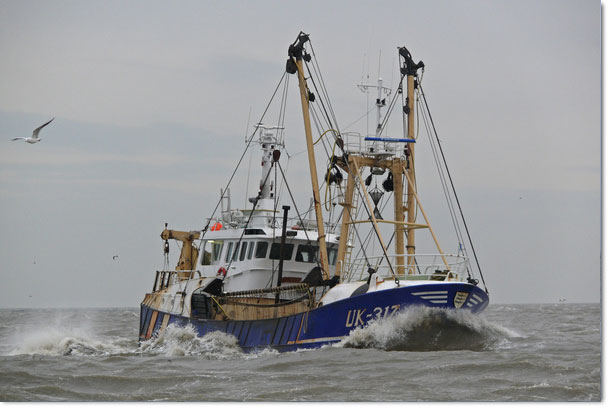 UK-317 Anne Gré sold to fishing company south of Holland