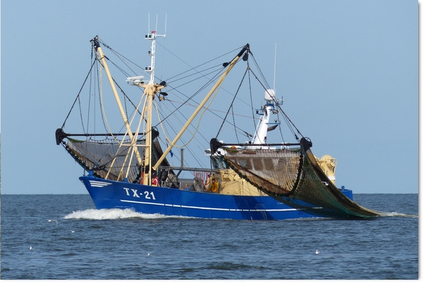 2026: Sold from Texel to Urk, UK-371 Ester Jacoba