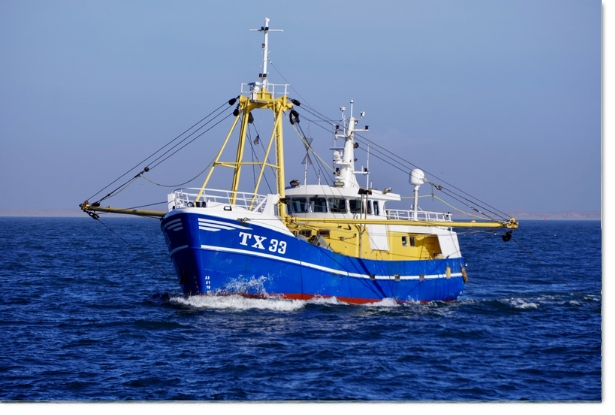 2026: Sold from Texel to Den Oever, WR-163