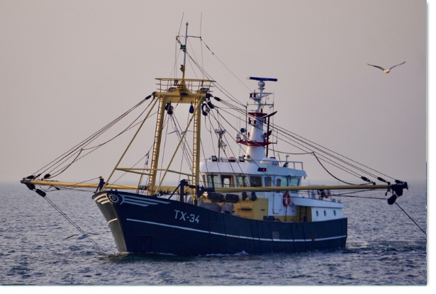 2026: Sold to new owners Texel, TX-22 Rosalina